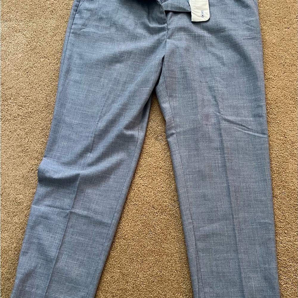 Talbots Light Blue Ankle Pants
